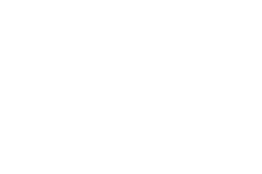 Logo PDU